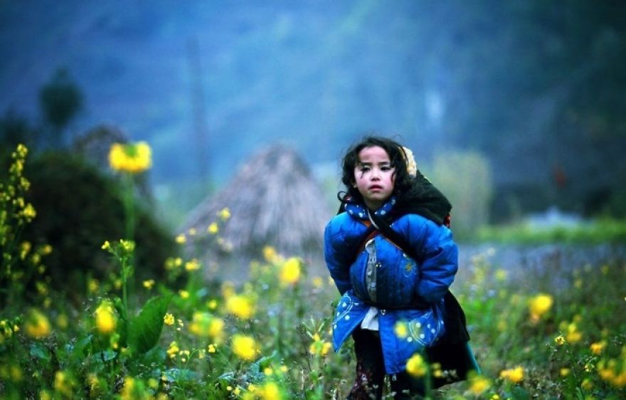 Natural and charming Vietnamese highlands